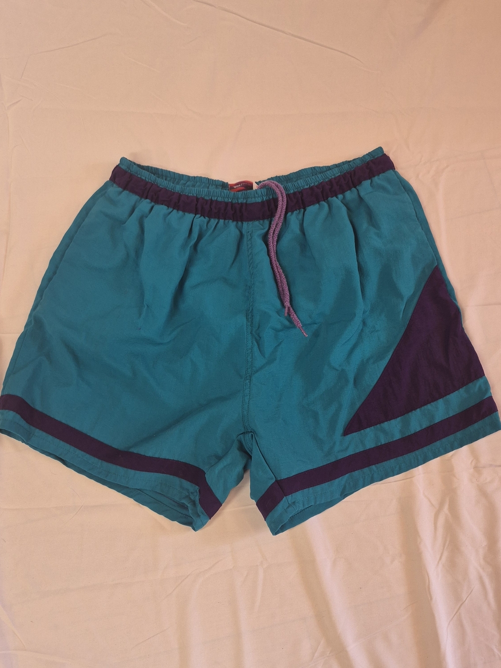 80's-90's Vintage Men's Teal & Purple Swim Shorts